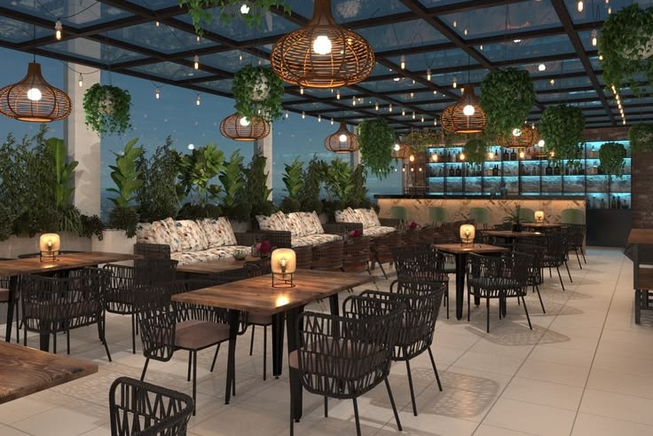 Restaurant & Café Setup